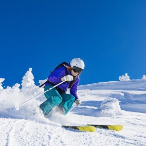 Jiu You-本菲卡防线表现稳固，本菲卡出品