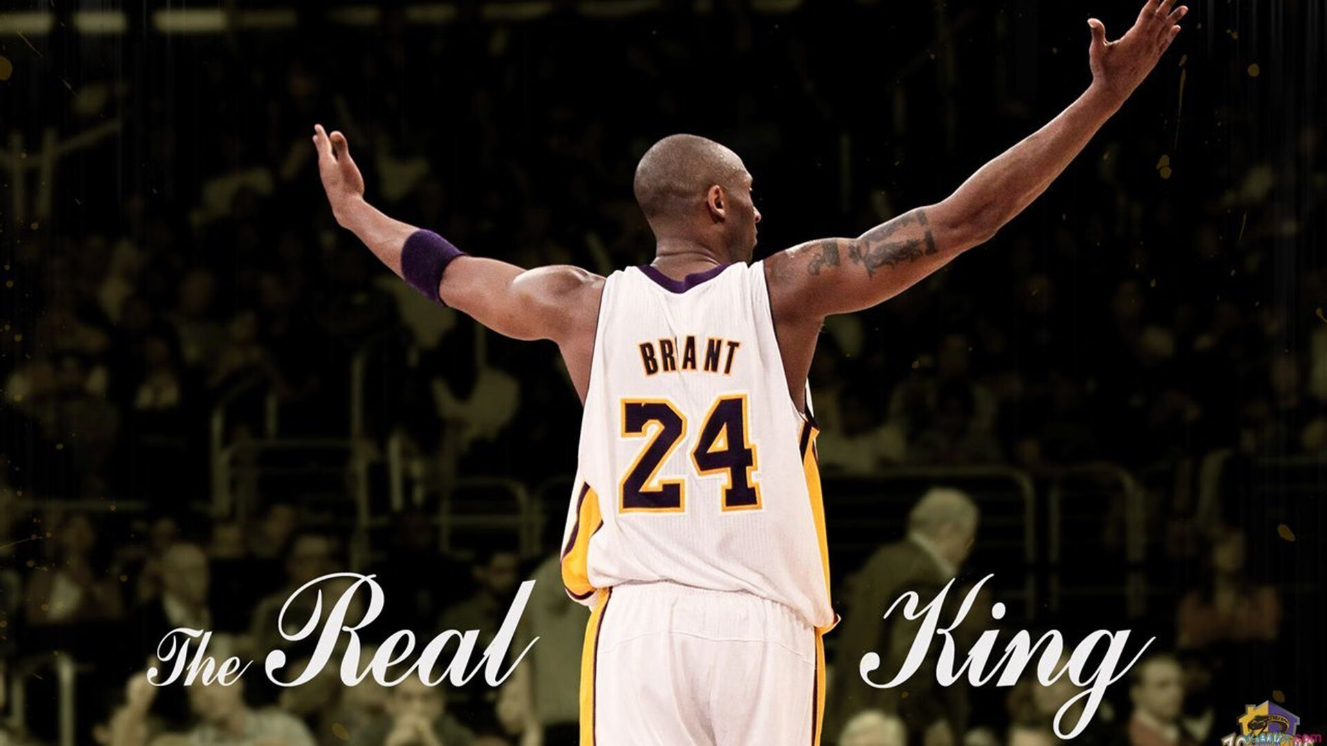 台球世界联赛：年轻力量崭露头角，台球世界锦标赛赛程